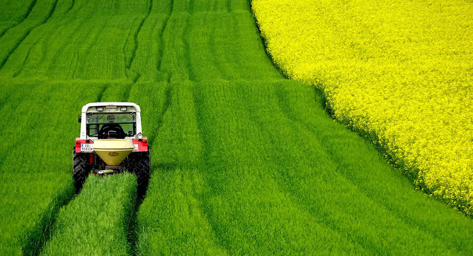 Trečiaisiais metais #PlantHealth4Life įgalina piliečius tapti augalų sveikatos ambasadoriais