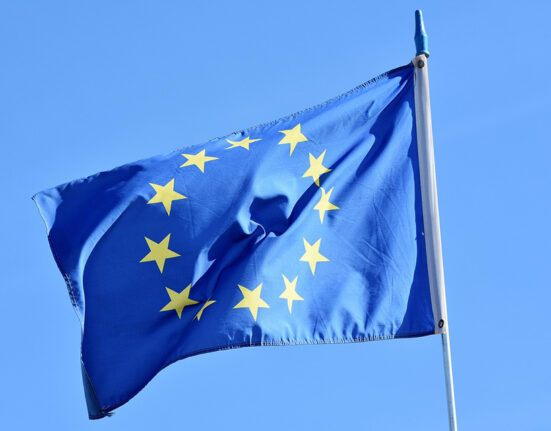 Europos Komisijos jaunimo patikros pažanga: jaunimo balsų stiprinimas ES politikos formavime