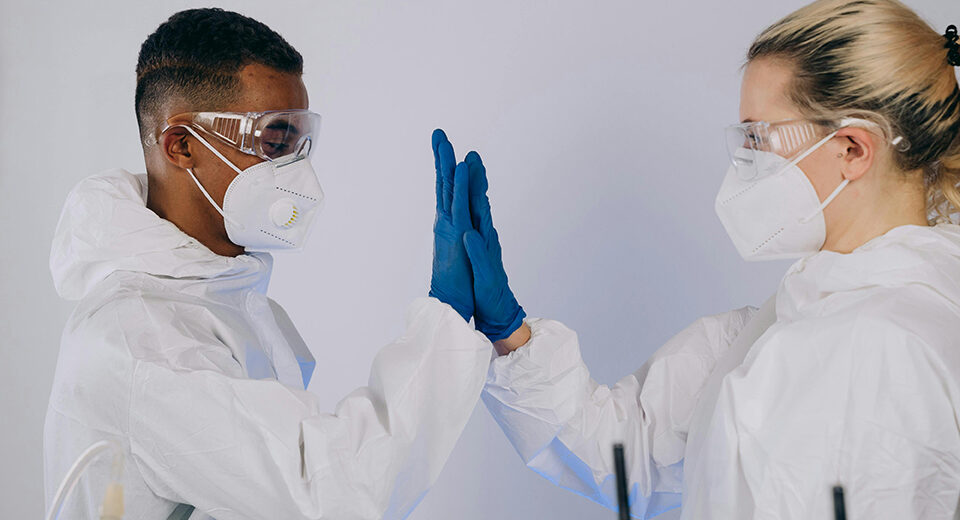 Epideminių ligų prioritetų nustatymas ir rizikos vertinimas Vakarų ir Centrinės Afrikos regionuose