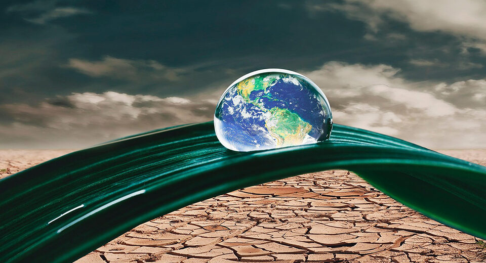 Europos aplinkos būklė prasta: didžiausi iššūkiai – klimato kaita ir gamtos nykimas