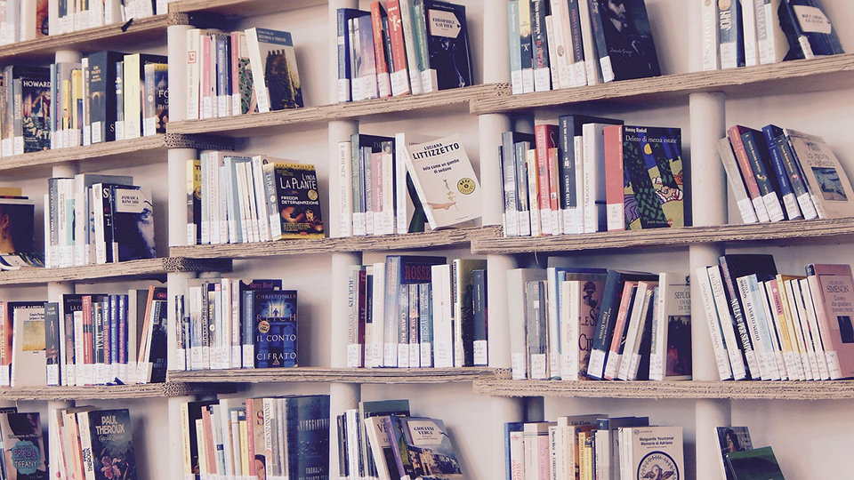 Projektai, stiprinantys Europos viešąsias bibliotekas