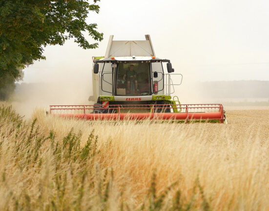 ES projektai stiprina agroekologijos ir agroforestijos pažangą Europoje