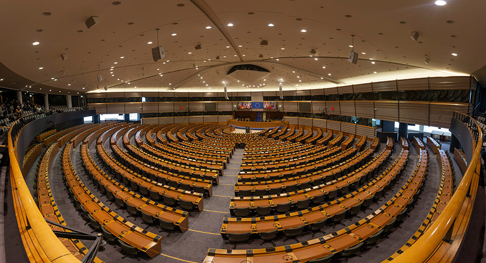 Europos Parlamento sprendimai: žmogaus teisės pasaulyje ir politinė stabilumo žinia Europoje
