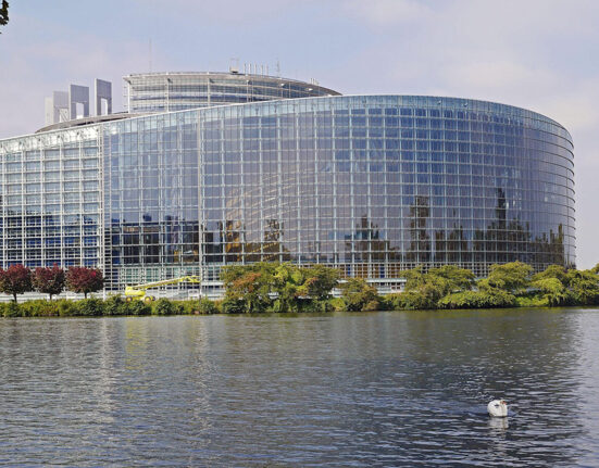 Europos Parlamento darbo diena: sprendimai dėl žmogaus teisių, socialinės politikos, sveikatos ir žemės ūkio