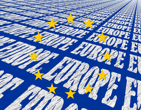 ES auditoriai kritikuoja pastangas stiprinti tarpvalstybines paslaugas