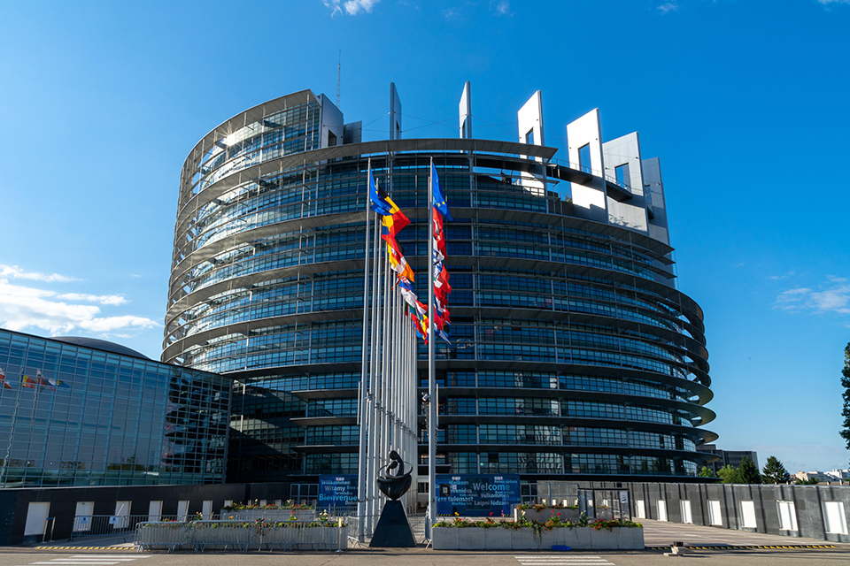 ES Taryba siūlo leisti balsavimą pagal įgaliojimą nėščioms ir neseniai pagimdžiusioms europarlamentarėms