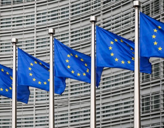 Suomijos prezidentas: „Brexitas – pamoka, kodėl ES yra svarbi“
