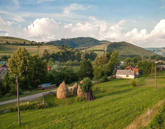 ES stiprina anglies dioksido rinkos stabilumą ir numatomumą