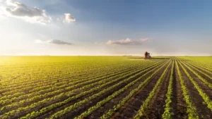 EFSA: pesticidų likučiai maiste išlieka saugūs vartotojams